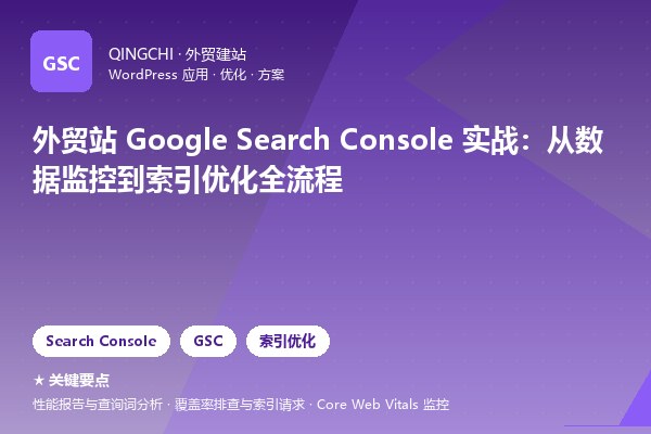 外贸站 Google Search Console 实战：从数据监控到索引优化全流程